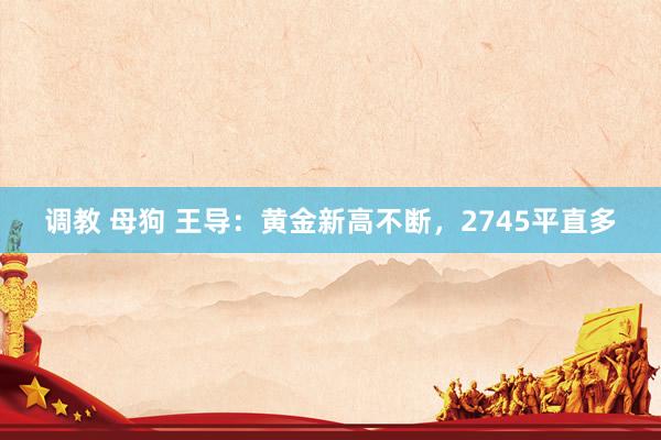 调教 母狗 王导:黄金新高不断,2745平直多