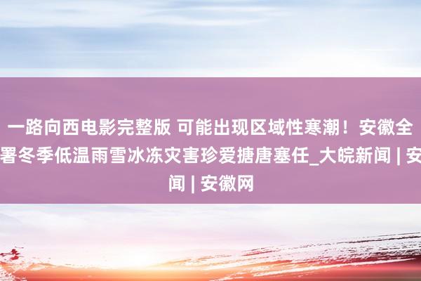 一路向西电影完整版 可能出现区域性寒潮！安徽全面部署冬季低温雨雪冰冻灾害珍爱搪唐塞任_大皖新闻 | 安徽网