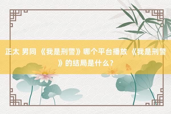 正太 男同 《我是刑警》哪个平台播放 《我是刑警》的结局是什么？