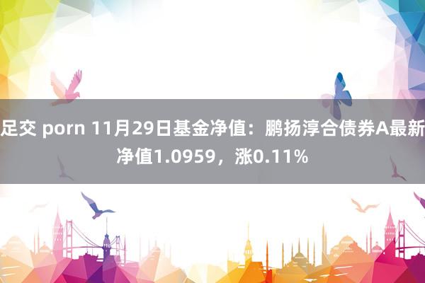 足交 porn 11月29日基金净值：鹏扬淳合债券A最新净值1.0959，涨0.11%