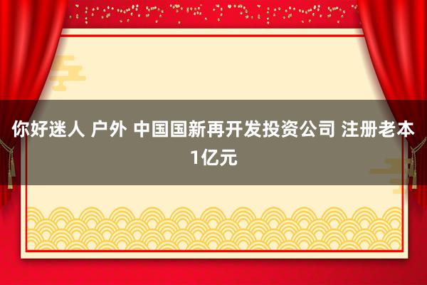 你好迷人 户外 中国国新再开发投资公司 注册老本1亿元