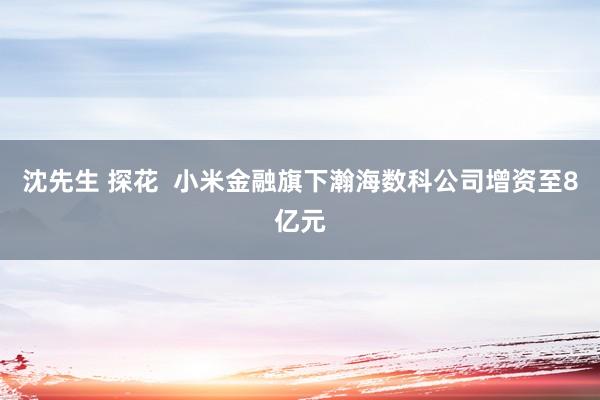 沈先生 探花  小米金融旗下瀚海数科公司增资至8亿元