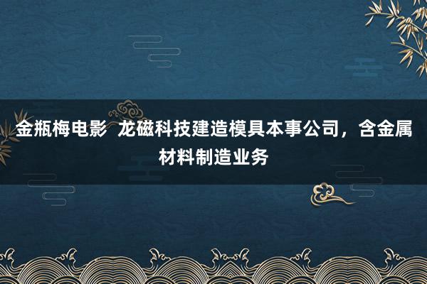 金瓶梅电影  龙磁科技建造模具本事公司，含金属材料制造业务