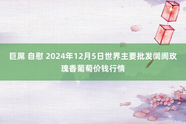 巨屌 自慰 2024年12月5日世界主要批发阛阓玫瑰香葡萄价钱行情