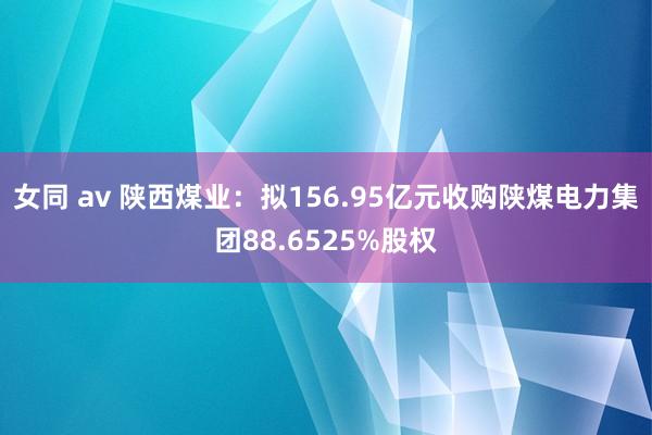 女同 av 陕西煤业：拟156.95亿元收购陕煤电力集团88.6525%股权