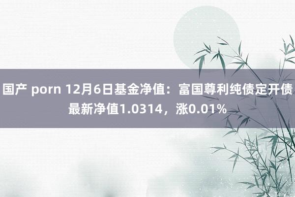国产 porn 12月6日基金净值：富国尊利纯债定开债最新净值1.0314，涨0.01%