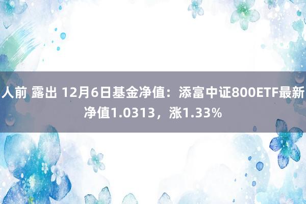 人前 露出 12月6日基金净值：添富中证800ETF最新净值1.0313，涨1.33%