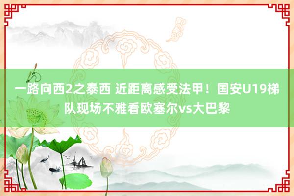 一路向西2之泰西 近距离感受法甲！国安U19梯队现场不雅看欧塞尔vs大巴黎