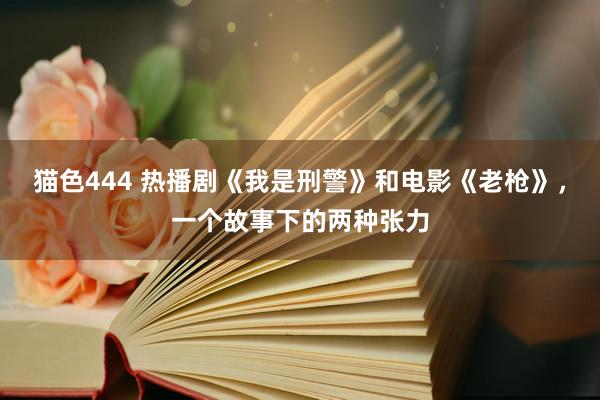 猫色444 热播剧《我是刑警》和电影《老枪》，一个故事下的两种张力