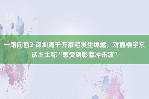 一路向西2 深圳湾千万豪宅发生爆燃，对面楼宇东谈主士称“感受到彰着冲击波”