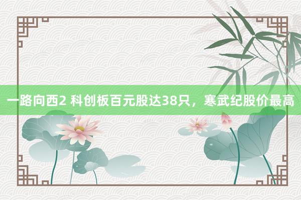 一路向西2 科创板百元股达38只，寒武纪股价最高