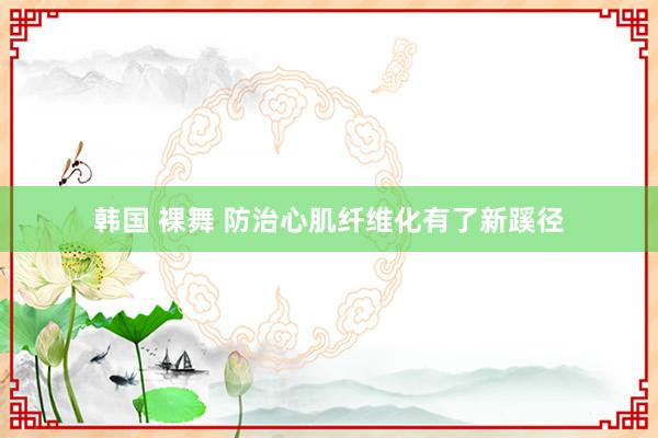 韩国 裸舞 防治心肌纤维化有了新蹊径