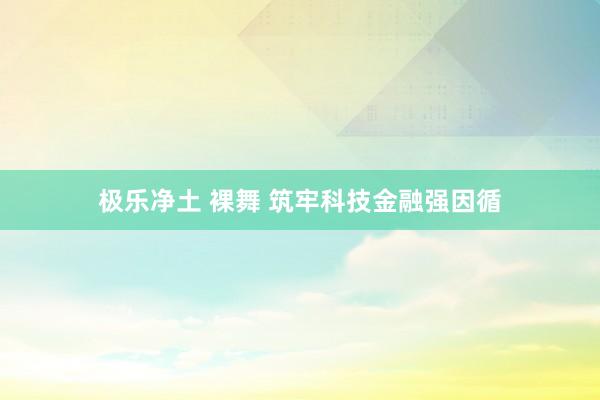 极乐净土 裸舞 筑牢科技金融强因循