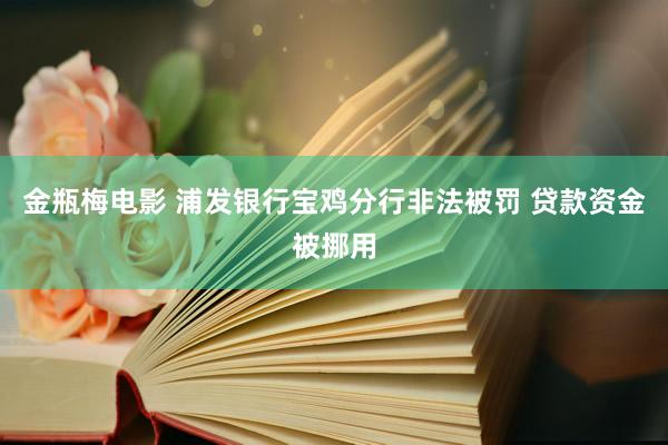 金瓶梅电影 浦发银行宝鸡分行非法被罚 贷款资金被挪用