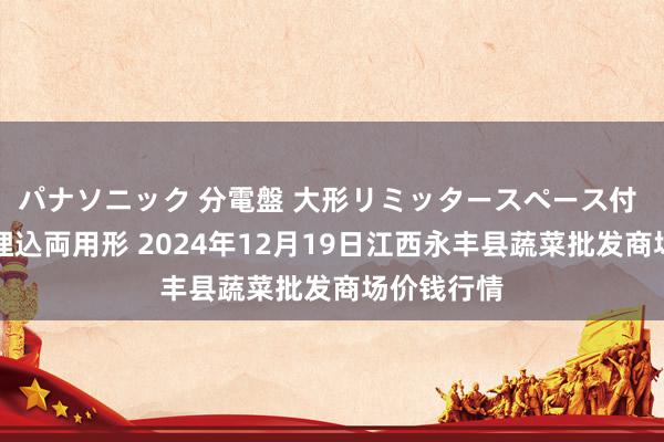 パナソニック 分電盤 大形リミッタースペース付 露出・半埋込両用形 2024年12月19日江西永丰县蔬菜批发商场价钱行情