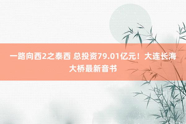 一路向西2之泰西 总投资79.01亿元！大连长海大桥最新音书