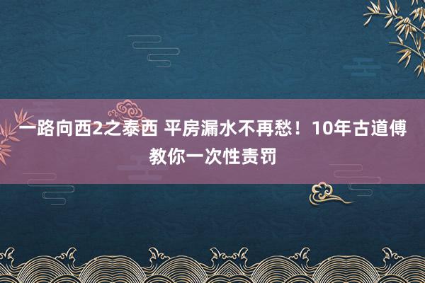 一路向西2之泰西 平房漏水不再愁！10年古道傅教你一次性责罚
