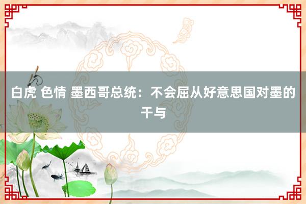 白虎 色情 墨西哥总统：不会屈从好意思国对墨的干与