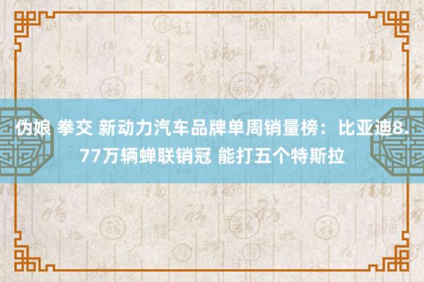 伪娘 拳交 新动力汽车品牌单周销量榜：比亚迪8.77万辆蝉联销冠 能打五个特斯拉