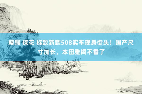 瘦猴 探花 标致新款508实车现身街头！国产尺寸加长，本田雅阁不香了