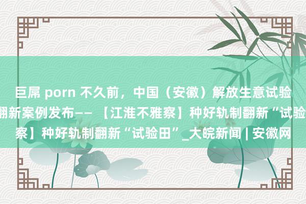 巨屌 porn 不久前，中国（安徽）解放生意试验区第三批“十佳”轨制翻新案例发布—— 【江淮不雅察】种好轨制翻新“试验田”_大皖新闻 | 安徽网
