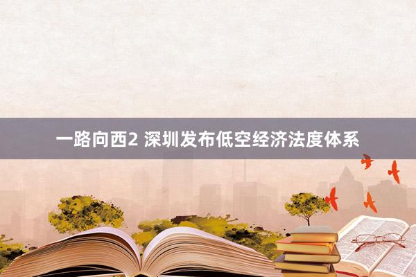 一路向西2 深圳发布低空经济法度体系