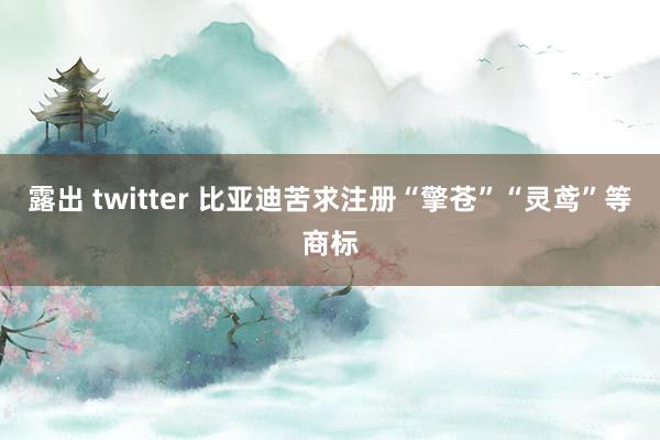 露出 twitter 比亚迪苦求注册“擎苍”“灵鸢”等商标