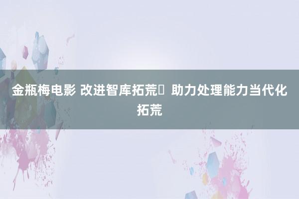 金瓶梅电影 改进智库拓荒 助力处理能力当代化拓荒