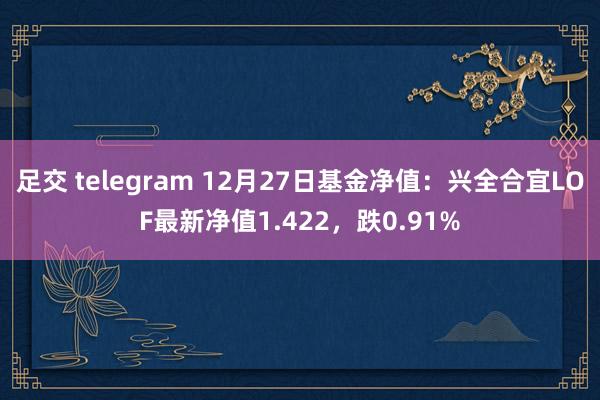足交 telegram 12月27日基金净值：兴全合宜LOF最新净值1.422，跌0.91%
