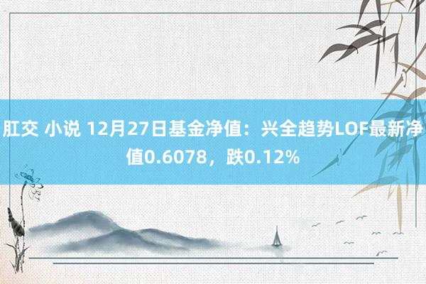 肛交 小说 12月27日基金净值：兴全趋势LOF最新净值0.6078，跌0.12%