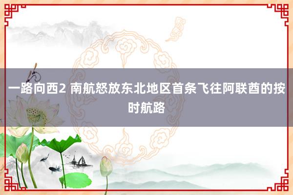 一路向西2 南航怒放东北地区首条飞往阿联酋的按时航路