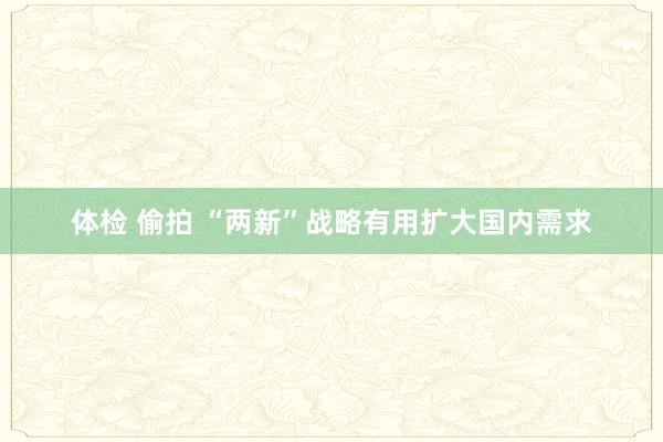 体检 偷拍 “两新”战略有用扩大国内需求