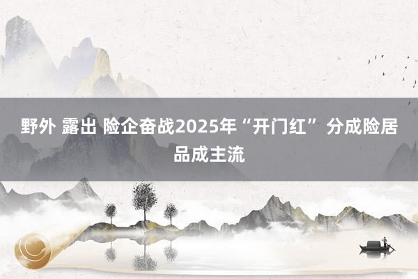 野外 露出 险企奋战2025年“开门红” 分成险居品成主流