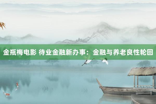 金瓶梅电影 待业金融新办事：金融与养老良性轮回