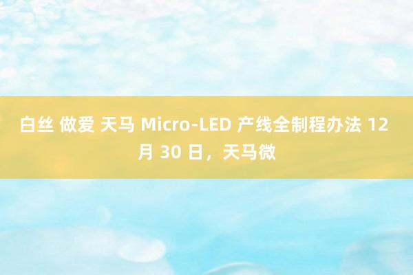 白丝 做爱 天马 Micro-LED 产线全制程办法 12 月 30 日，天马微