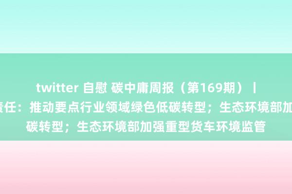 twitter 自慰 碳中庸周报（第169期）丨财政部部署2025年责任：推动要点行业领域绿色低碳转型；生态环境部加强重型货车环境监管