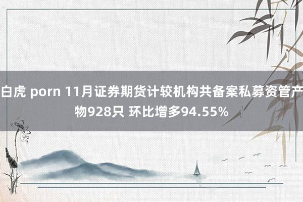 白虎 porn 11月证券期货计较机构共备案私募资管产物928只 环比增多94.55%