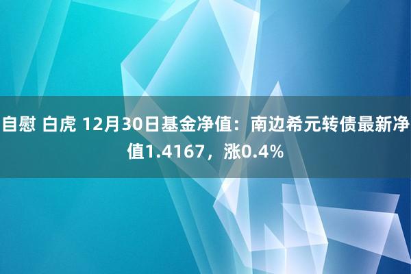 自慰 白虎 12月30日基金净值：南边希元转债最新净值1.4167，涨0.4%