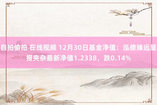 自拍偷拍 在线视频 12月30日基金净值：泓德臻远呈报夹杂最新净值1.2338，跌0.14%