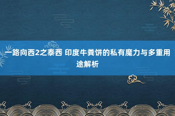 一路向西2之泰西 印度牛粪饼的私有魔力与多重用途解析