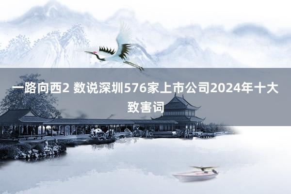一路向西2 数说深圳576家上市公司2024年十大致害词
