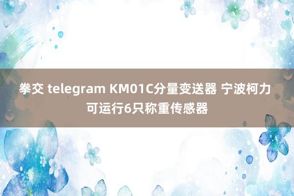 拳交 telegram KM01C分量变送器 宁波柯力 可运行6只称重传感器