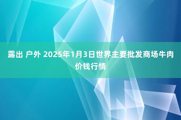 露出 户外 2025年1月3日世界主要批发商场牛肉价钱行情