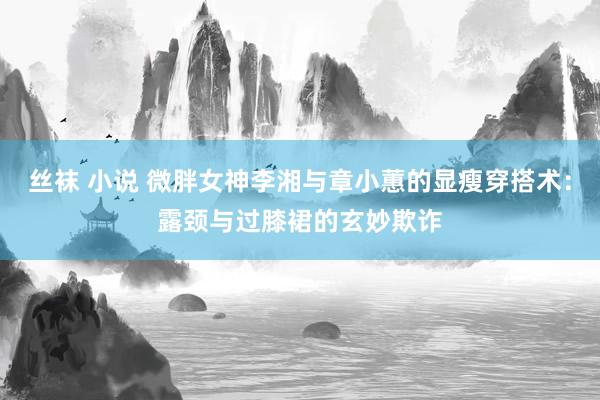 丝袜 小说 微胖女神李湘与章小蕙的显瘦穿搭术：露颈与过膝裙的玄妙欺诈