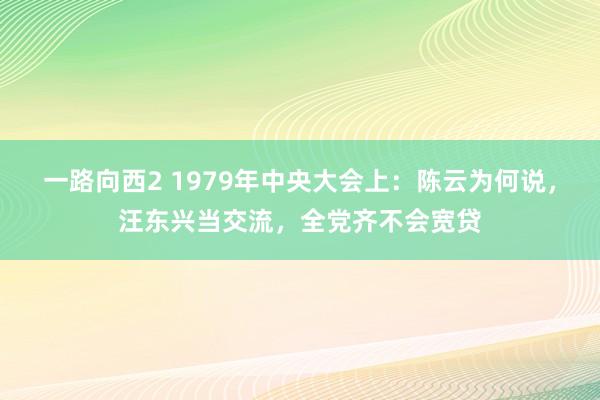 一路向西2 1979年中央大会上：陈云为何说，汪东兴当交流，全党齐不会宽贷