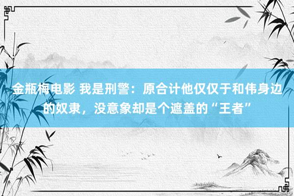金瓶梅电影 我是刑警：原合计他仅仅于和伟身边的奴隶，没意象却是个遮盖的“王者”