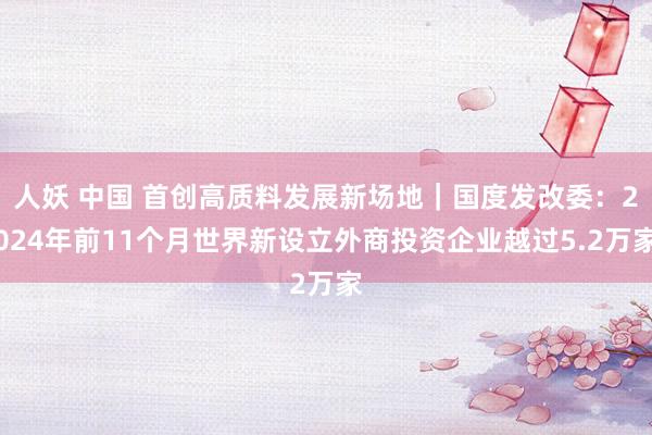 人妖 中国 首创高质料发展新场地｜国度发改委：2024年前11个月世界新设立外商投资企业越过5.2万家
