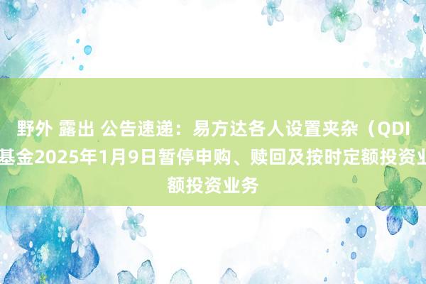 野外 露出 公告速递:易方达各人设置夹杂(QDII)基金2025年1月9日暂停申购、赎回及按时定额投资业务