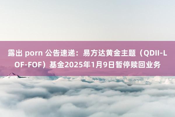 露出 porn 公告速递：易方达黄金主题（QDII-LOF-FOF）基金2025年1月9日暂停赎回业务