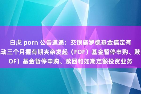 白虎 porn 公告速递：交银施罗德基金搞定有限公司对于交银智选跳动三个月握有期夹杂发起（FOF）基金暂停申购、赎回和如期定额投资业务